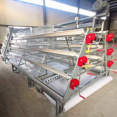 China Poultry farms broiler chicken farm equipment simple structure poultry farming one type chicken cage equipment automatic broiler cage for sale