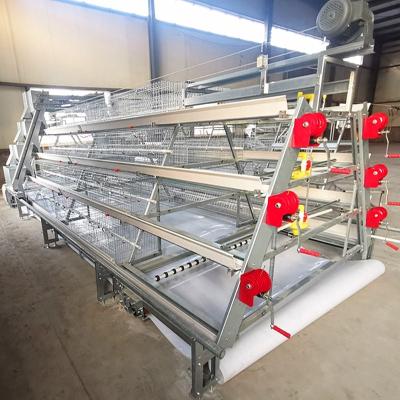 China Poultry Farms Layer Chicks Pullet Cage Silver Star Hot Dip Galvanized One Layer Chicken Brooder Cage Type for sale