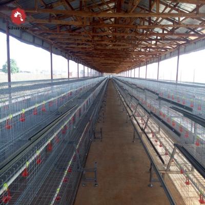 China Poultry Agriculture Equipment Chicken Brooder Wire Cage / Ladder Type Chicken Cage for sale