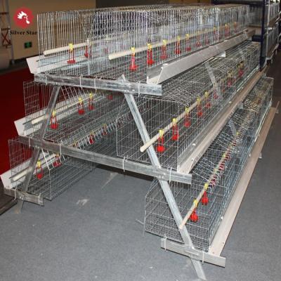 China poultry farming equipment one type chicken cage/layer pullet cage for chicken shed poultry farm for sale