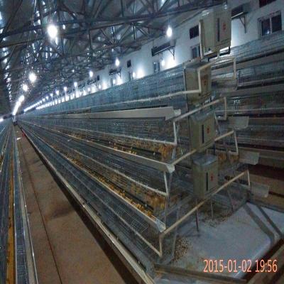 China Automatic& Manual Chicken Farm Cage / Poultry Farm Manual Chicken Raising Cage for sale