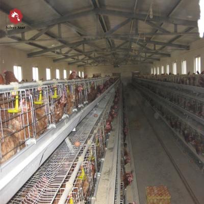 China automatic chicken cage automatic poultry feeder machine for chicken /chicken breeding cage for sale for sale