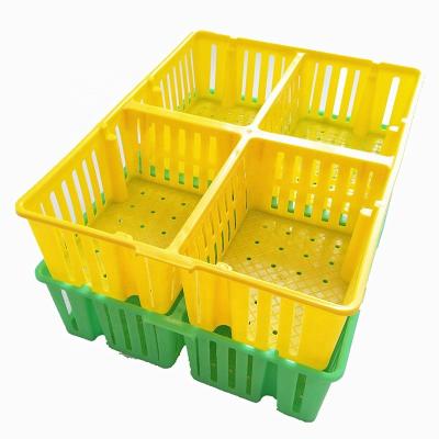 China Farms Live Chicken Transport Cage Chicks Turnover Box Poultry Plastic Transport Crate For Duck Pigeon for sale