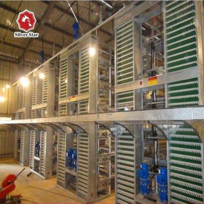 China Automatic Chicken Cages Chicken Layer Cage For Layers Fertilizer Belts Automatic Removal/Cleaning System for sale