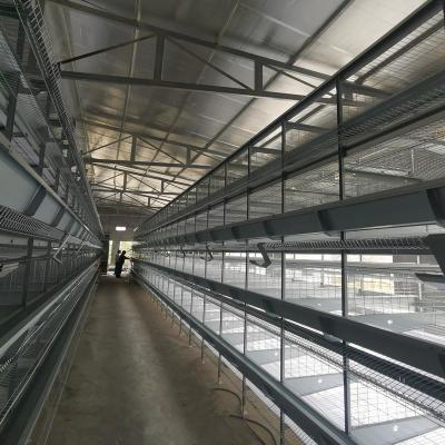 China Cultivate Automatic Egg Collection Chicken Battery Layers Cage System for sale