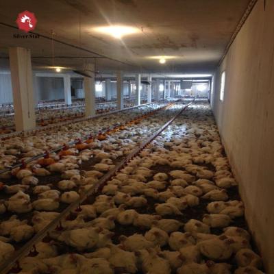 China Hot Sales China Good Quality Automatic Chicken Cage Poultry Farm Floor System Broiler Raising Equipments for sale