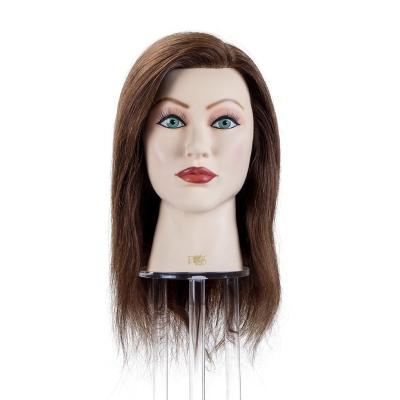 China Hair Cut 16 Inches Brown Head Hair Cosmetology Mannequin Training Head Doll 100% Master Training For Styling And Hair Practice for sale