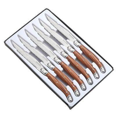 China Viable High Quality GY013 Stainless Steel With Paint Handle Laguiole Style 6pcs Steak Knife Set for sale