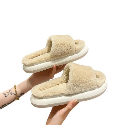 China 2021 European and American Winter EVA Thick Sole Slippers Fashion Trend Fur Slippers Autumn Women Shoes for sale