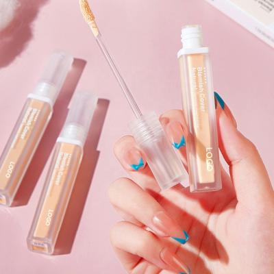 China Wholesale Cosmetic OEM Logo Liquid Matte Loose Foundation Moisturizer HD Full Coverage Bases for sale