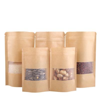 China Kraft Paper Retail Packaging Pouch Moisture Proof Plastic Bag Low MOQ 100PCS for sale