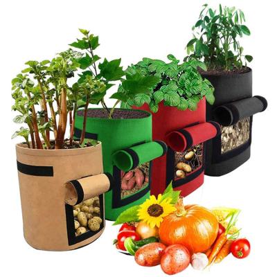 China Garden Pots 10 Gallon Grow Bag Greenhouse Grow Bag Felt Garden Potato Vegetable Planting Bags Cloth Potted Plant Bag for sale