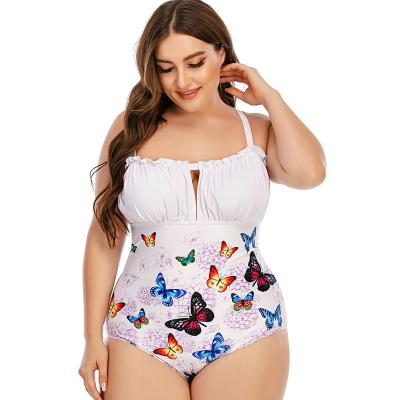 China Breathable Women Plus Size 2xl Butterfly Swimwear One Piece for sale