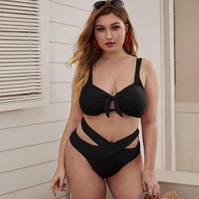 China Breathable Custom Logo Ladies Swimwear High Waist Swimsuit Plus Size Bikini for sale