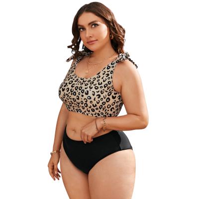 China 2021 Customs Breathable Logo Plus Size Leopard Print Swimwear Two Piece Bikini Woman for sale