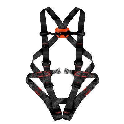 China Extreme Sports Rock Climbing Full Body Safety Belt with Polyester Reinforced Silk for sale