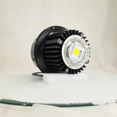 China 265V Factory 50Watt LED High Bay Light Fixture Cold White with Mean Well Driver for sale