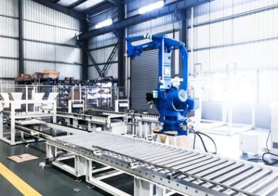 Cina Robot Palletizer in vendita