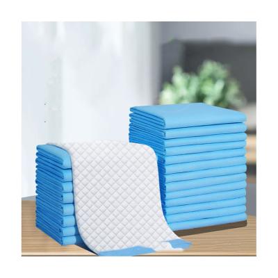 China Instock Sustainable Wholesale Double-Layer Non-Slip Pet Litter Pad Eva Toilet for sale