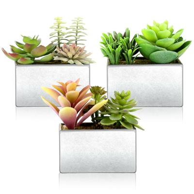 China Wholesale Minimalist Succulents Potted Artificial Home Decoration Plants Bonsai With Pot Thanksgiving Christmas for sale