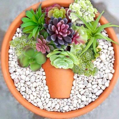 China Wholesale Minimalist Faux Unpotted Mini Succulents Artificial Christmas Office Home Decor Succulent Garden for sale