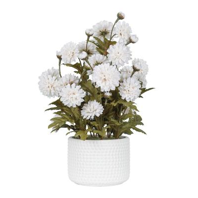 China Wholesale Immortal and Eco-friendly Home Decor Desktop Chrysanthemum Artificial Flowers Marigold Artificial Flower Rattan Bedroom for sale