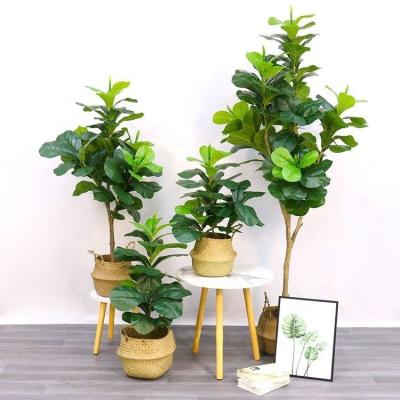 China Custom Minimalist Hall Decor Artificial Plants Hotel Banyan Tree 60/90/120/150/180 cm Outdoor Fake Tree Indoor Bonsai for sale