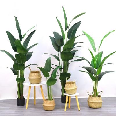 China Minimalist Outdoor Decoration 90/120/160/180/210 cm Hall Artificial Meeting Place Fake Banana Plants Bulk Travel Banana Trees Mall for sale