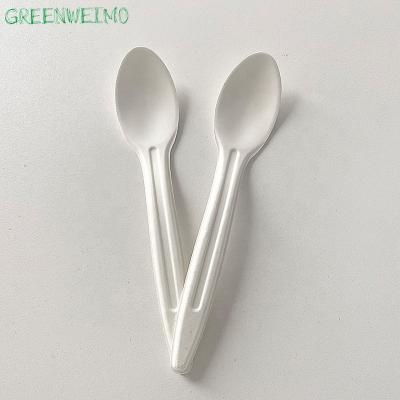 China Disposable Cutlery Eco-Friendly Biodegradable Biodegradable Wooden Dessert Paper Pulp Bagasse Fork Spoon for sale