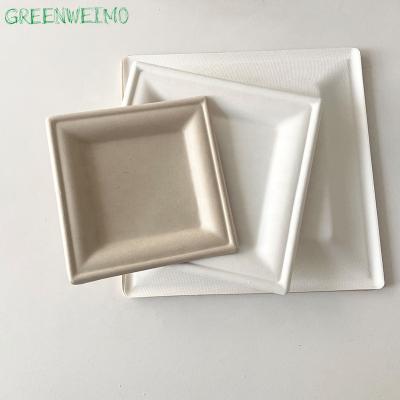 China Rectangle Disposable Square Bagasse Pulp Biodegradable Disposable Sushi Dish Party Dish Restaurant Dishes for sale