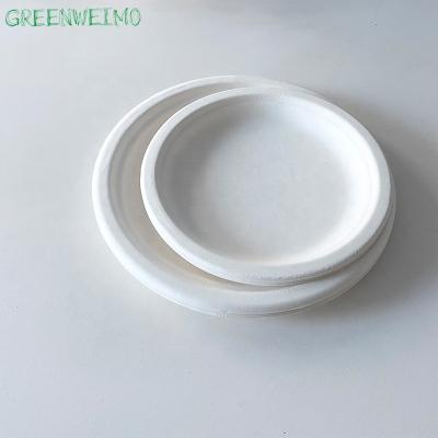 China Biodegradable Packaging Customized Disposable Sugarcane Bagasse Pizza Disposable Dishes For Food for sale