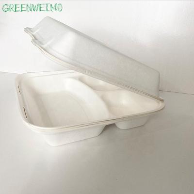 China Sustainable Custom Biodegradable Bagasse Lunch Tray Disposable Takeaway Storage Food Box Container for sale