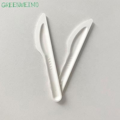 China Eco-Friendly Disposable Paper Pulp Knives Biodegradable Biodegradable Bagasse Spoon Fork Knife Set Cutlery Eco Friendly for sale