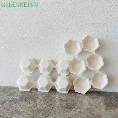 China Disposable Biodegradable Environmental Trend Tray Chocolate Packaging Box Bagasse Pulp Stored Biodegradable Packaging for sale