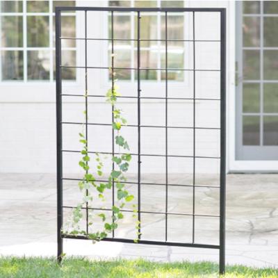 China Home & Garden & Park Plant Climbing Ornamental Metal Garden Trellis for sale