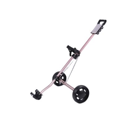 China Aluminum Alloy Hot Sale Golf Push Cart 2 Wheels Best Remote Control Golf Cart for sale