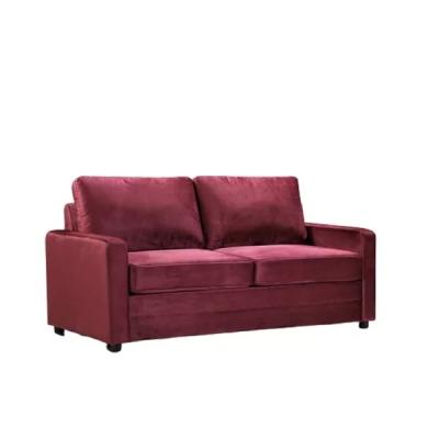 China Hot Selling High Quality Extended Pull Out Sofa Bed With Armchair Two Seats Couch Sofa Cum Bed Convertible for sale