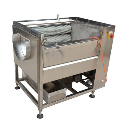 China High Capacity Carrot Sweet Potato Nut Brush Washing Machine Root Vegetable Production Line for sale