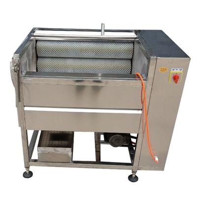 China Root Vegetable Potato Peeling Machinery Peeler Washing Peeling Cleaning Machine for sale