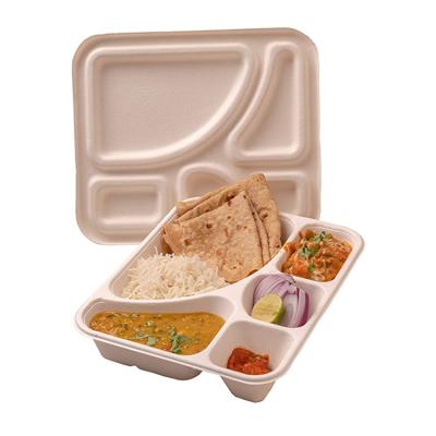 China Eco-friendly Biodegradable Microwavable Sugar Cane Bagasse Lunch Tray 5 Compartments Bento Sushi Meals Multi Pieces Trays for sale