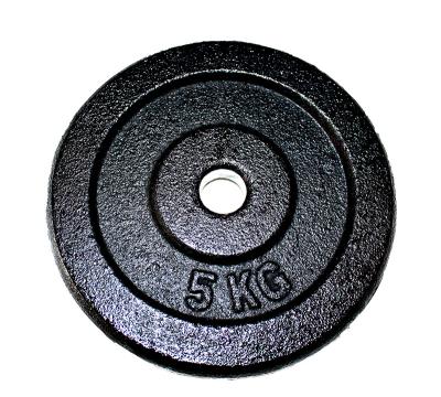 China Factory Price Universal Black Weight Plate Cast Iron Weight Paint Plates for sale