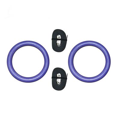 China Universal Fitness Training Supplies Cheap Calisthenics Equipment Sports Gymnastic Rings for sale