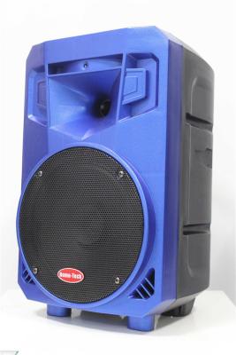 China Rechargeable Battery Portable Trolley Speakers Microphone And Bluetooth Function for sale