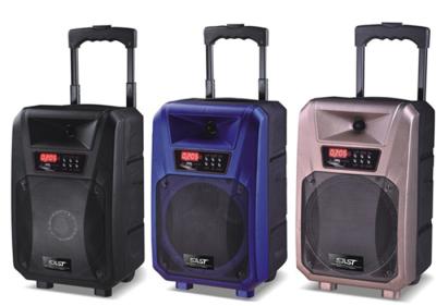 China Pro Active Outdoor Portable Bluetooth Trolley Speaker Battery Powered PA System for sale