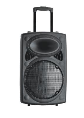 China 10 Inch 80W Plastic Portable Trolley Speakers / Bluetooth Powered PA Speakers for sale