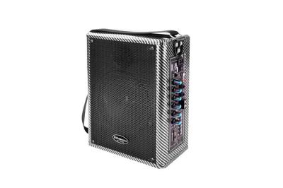 China Rechargeable Battery Portable PA Speaker , Outdoor Portable Dj Speaker System for sale