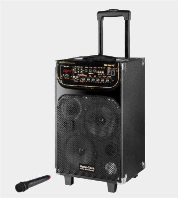 China Portable Microphone Rechargeable Trolley Speaker For Outdoor Party And Dancing for sale