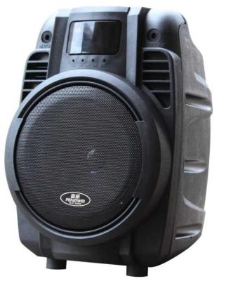 China Professional Small 6.5 Inch Plastic Speaker Box Bluetooth Portable PA System for sale