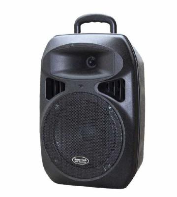 China 8 Inch Handheld Plastic Speaker Box / Wireless Microphone Speaker System for sale