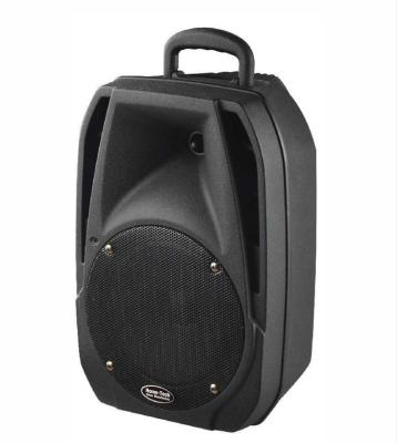 China Black Rechargeable DJ Portable Active Plastic PA Speaker Box On Wheels for sale